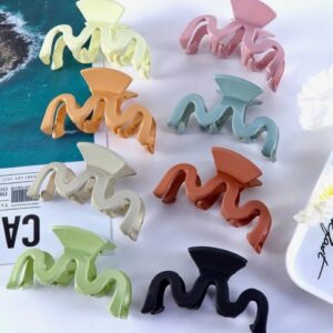 Matte Hair Claw Clips for Women ( Pack1)